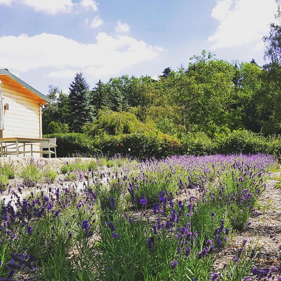 Chalet "Waldhauszeit" Am See Mucke Luaran gambar